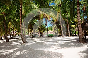 Beautiful beach - Saona island, Dominican Republic