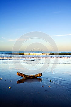 Beautiful Beach Scene, Taipa, New Zealand