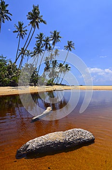 Beautiful beach scenic with coconut tree anf blue sky