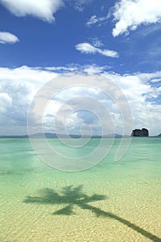 Beautiful beach with the shadow of coconut tree