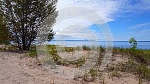 Beautiful beach shore with lush green trees during summer dayÈ›. Sand shoreline with scenic green nature