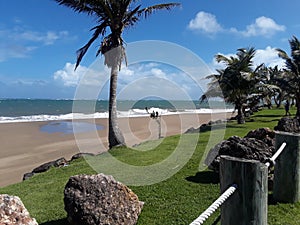 Sunny beach with palm trees and pond photo