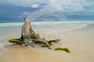 Beautiful beach. Storm sky over the sea