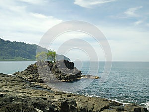 beautiful beach in Sumatera barat