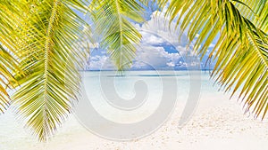 Bellissimo Spiaggia. estate vacanza un vacanza. stimolante tropicale Spiaggia. Spiaggia formato pubblicitario destinato principalmente all'uso sui siti web 