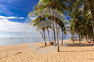 Beautiful beach in Thailand. View of sunlight tropical sea beach with coconuts palms. Tropical sand beach holiday for background