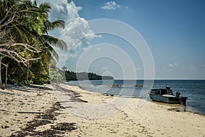 Beautiful beach with trees and fishing boat