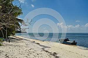 Beautiful beach with trees and fishing boat.