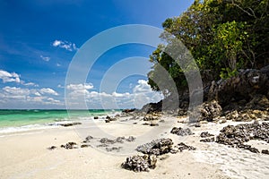 Beautiful beach on Tub Island