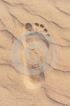 Beautiful beach in Valdelagrana, Cadiz, Spain with orange-hued sand and footprints in the sand photo