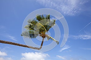 Beautiful beach. View of nice tropical beach with palms around.