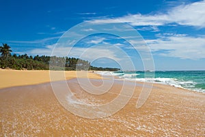 Beautiful beach. View of nice tropical beach with palms around. photo