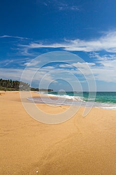 Beautiful beach. View of nice tropical beach with palms around.