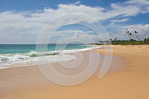 Beautiful beach. View of nice tropical beach with palms around. photo