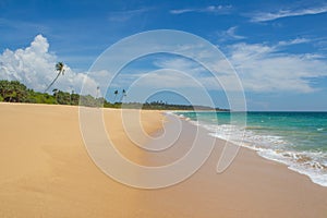 Beautiful beach. View of nice tropical beach with palms around. photo