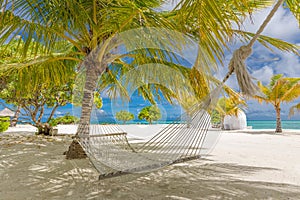 Beautiful beach. View of nice tropical beach with palms around, hammock hanging. Holiday and vacation concept. Tropical beach.