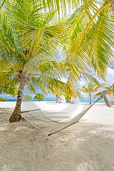 Beautiful beach. View of nice tropical beach with palms around, hammock hanging. Holiday and vacation concept. Tropical beach.