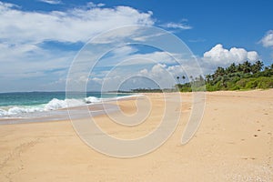 Beautiful beach. View of nice tropical beach with palms around. photo