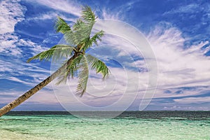 Beautiful beach. View of nice tropical beach with palms around. Holiday and vacation concept. Tropical beachat