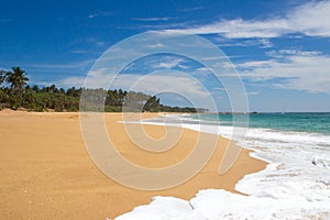 Beautiful beach. View of nice tropical beach with palms around. photo