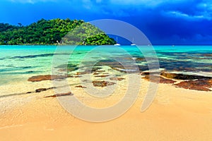 Beautiful beach. View of nice tropical sandy beach with green coconut palms trees around.