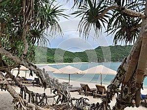 Beautiful beach with white sand and trees