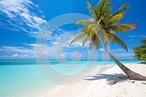 Beautiful beach with white sand, turquoise ocean, blue sky with clouds and palm tree over the water on a Sunny day. Maldives