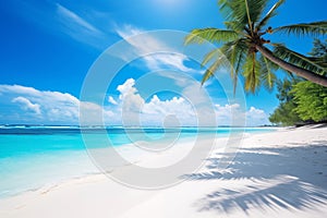 Beautiful beach with white sand, turquoise ocean, blue sky with clouds and palm tree over the water on a Sunny day. Maldives