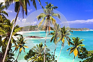 Beautiful beaches of Sri Lanka island