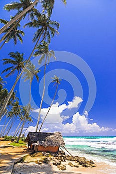 beautiful beaches of Sri Lanka, Weligama, south of island