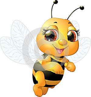 Beautiful bee