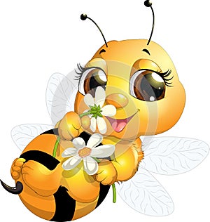 Beautiful bee