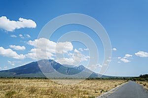 Beautiful Bekol Savanna with Mount Baluran