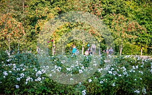 Beautiful Belmontas park