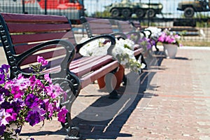 Beautiful benches among the flowers in the background of military equipment