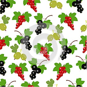 Beautiful berry background. red currants, black currants