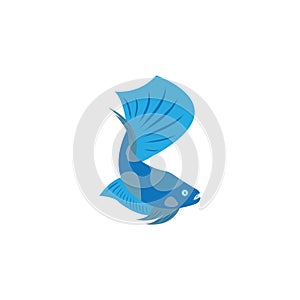 beautiful betta fish vector