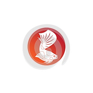 beautiful betta fish vector