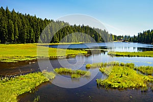 Beautiful Big Arber lake with its swimming islands in the Bavarian Forest, Germany