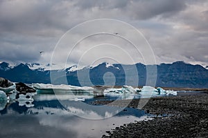 Beautiful big blue iceberg floating in Jokulsarlon glacial, Iceland in summer at dusk, reflecting in the water.