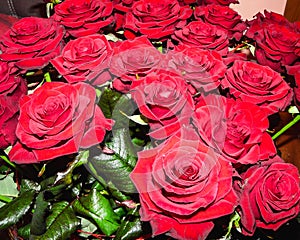 A beautiful big bouquet of red roses