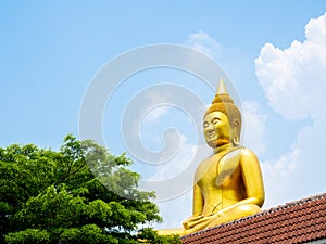 Beautiful big buddha