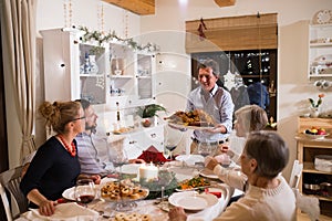 Family celebrating Christmas. Father bringing food.