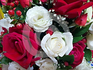 Beautiful big roses flower, Valentine day, Love concept, Top view