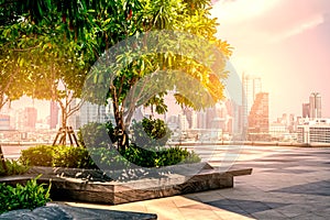 Beautiful big tree and plants on the rooftop of a modern building in Asia, adjusted image golden lighting ambient, the concept for