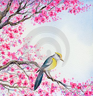 Beautiful bird on flowering branch. Watercolor painting