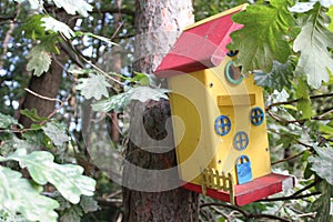Beautiful birdhouse for the birds
