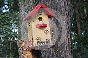 Beautiful birdhouse for the birds