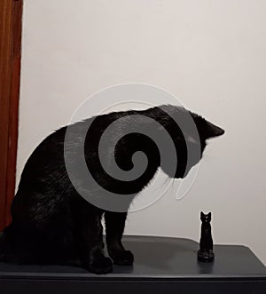 Beautiful black cat looking at her mini statue