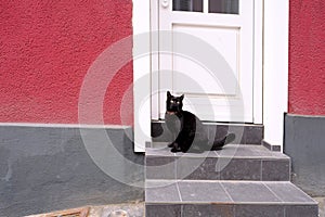 Beautiful black cat sitting on the porch of a house in front of a closed door in the city, misfortune superstition concept,